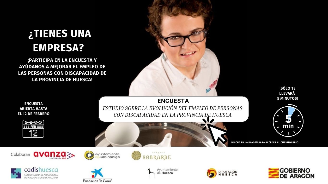 ESTUDIO SOBRE LA EVOLUCIÓN DEL EMPLEO DE PERSONAS CON DISCAPACIDAD EN LA PROVINCIA DE HUESCA 600 x 400 px Sitio web
